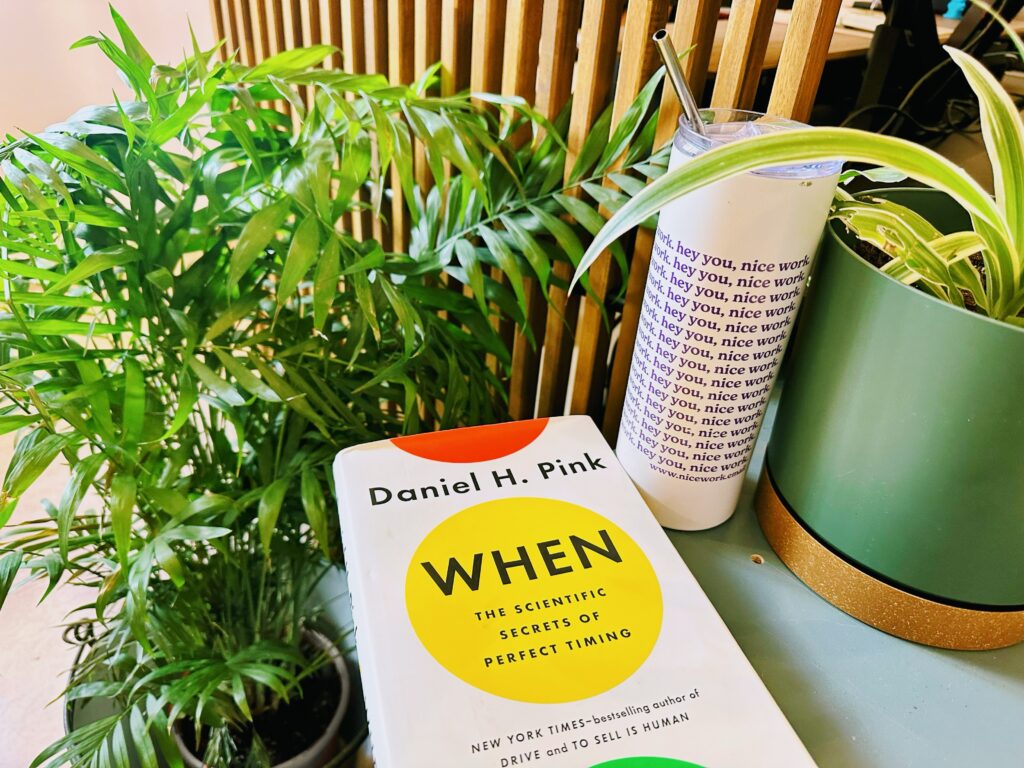 Cover of the book “When” written by Daniel Pink